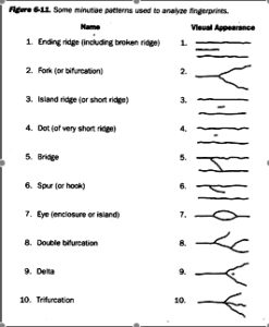 Fingerprints: Points, Type, And Classification — #2016WPA